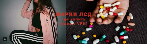 молекула духа Ладушкин