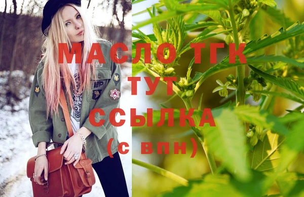 молекула духа Ладушкин