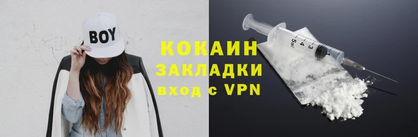 молекула духа Ладушкин