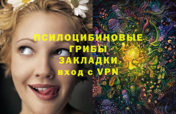 амф Балахна
