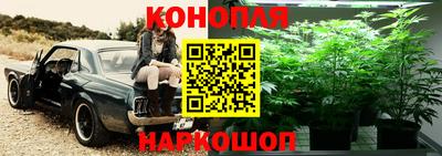 apvp Жуковский