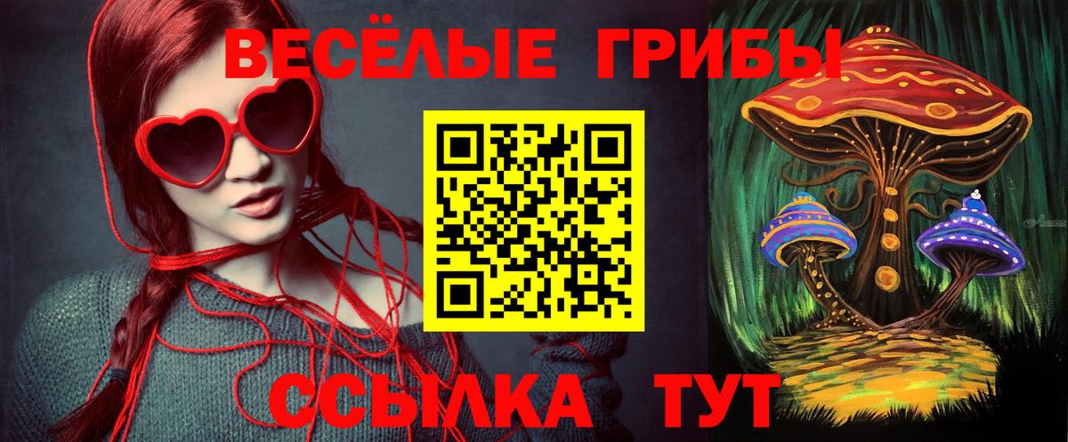 Псилоцибиновые грибы Cubensis  закладки  Усть-Илимск 