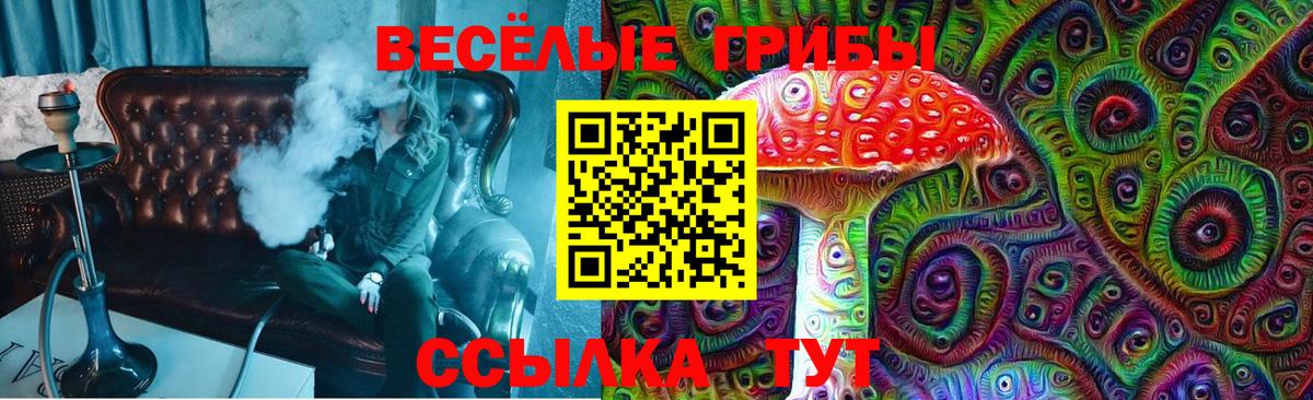 Псилоцибиновые грибы ЛСД Усть-Илимск