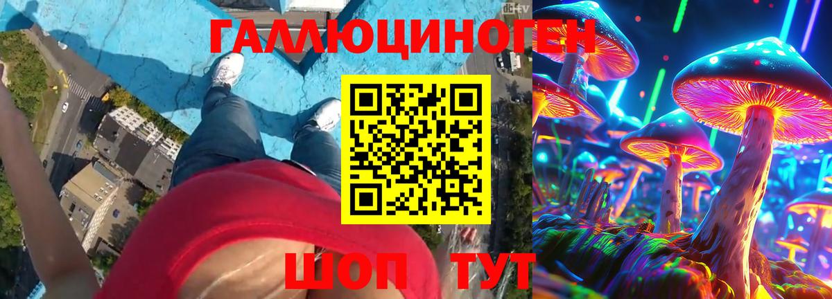 Галлюциногенные грибы Magic Shrooms  Галлюциногенные грибы Psilocybe  Вход с VPN  Усть-Илимск 