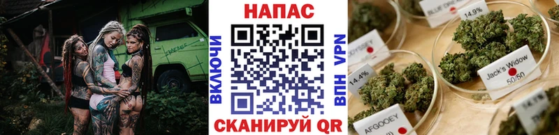 Бошки марихуана ГИДРОПОН  Усть-Илимск 